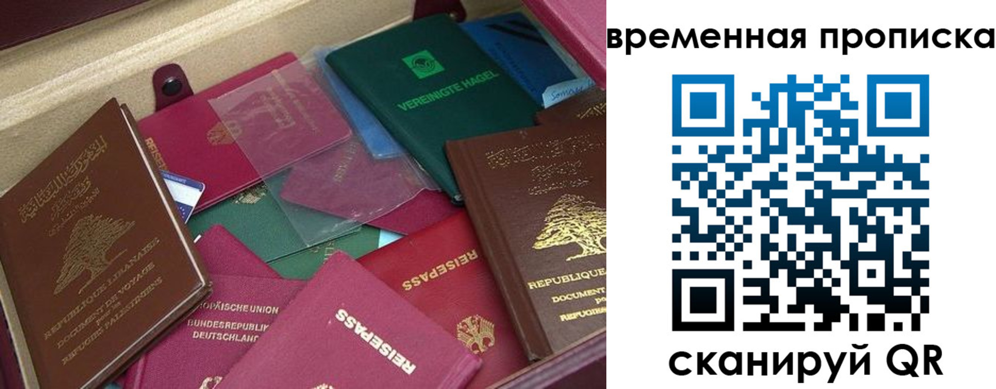 прописка в Каргополе